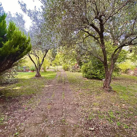 La Casa Nel Bosco Проживание в семье Manziana