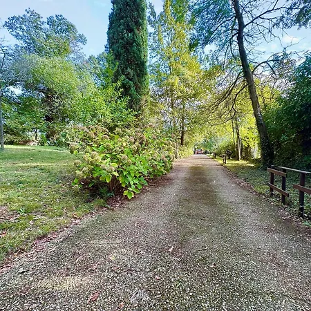 La Casa Nel Bosco * Manziana